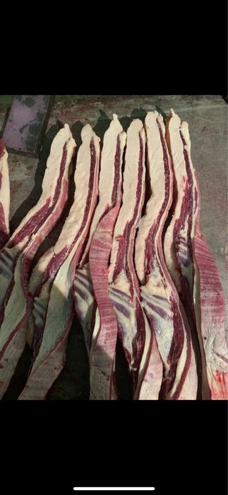 Лошади на согым жирные мясо