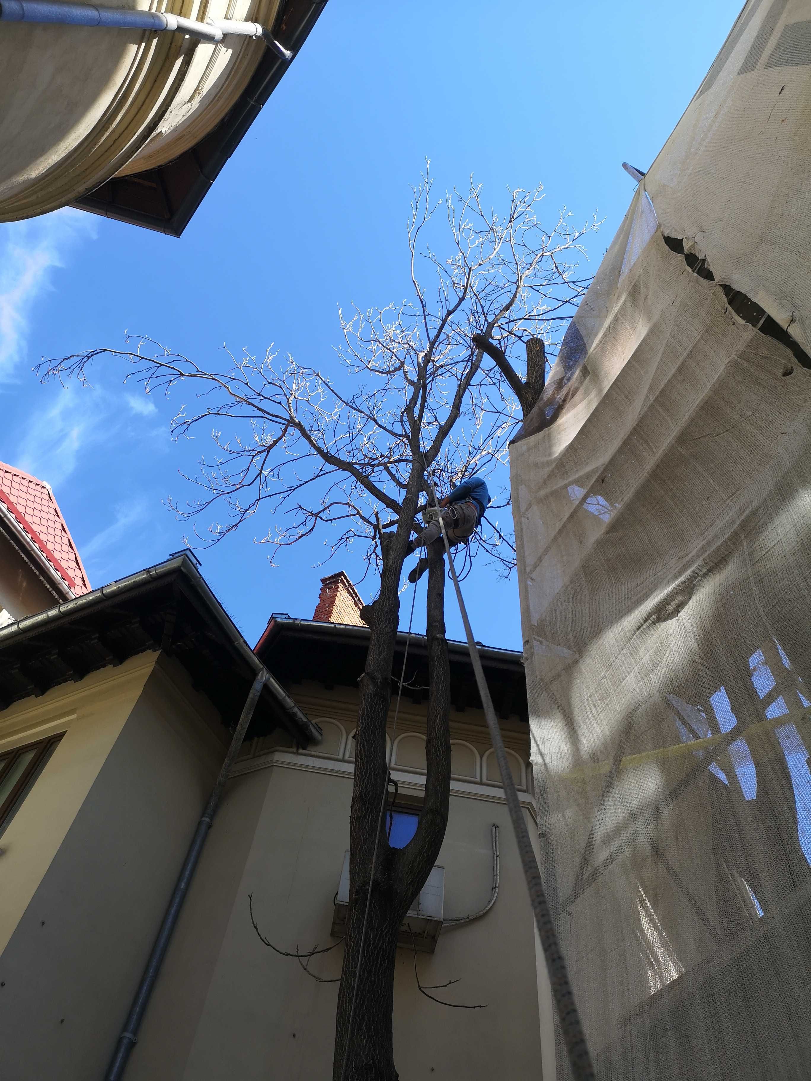 Alpinism, Alpiniști utilitari, Sablări mobile