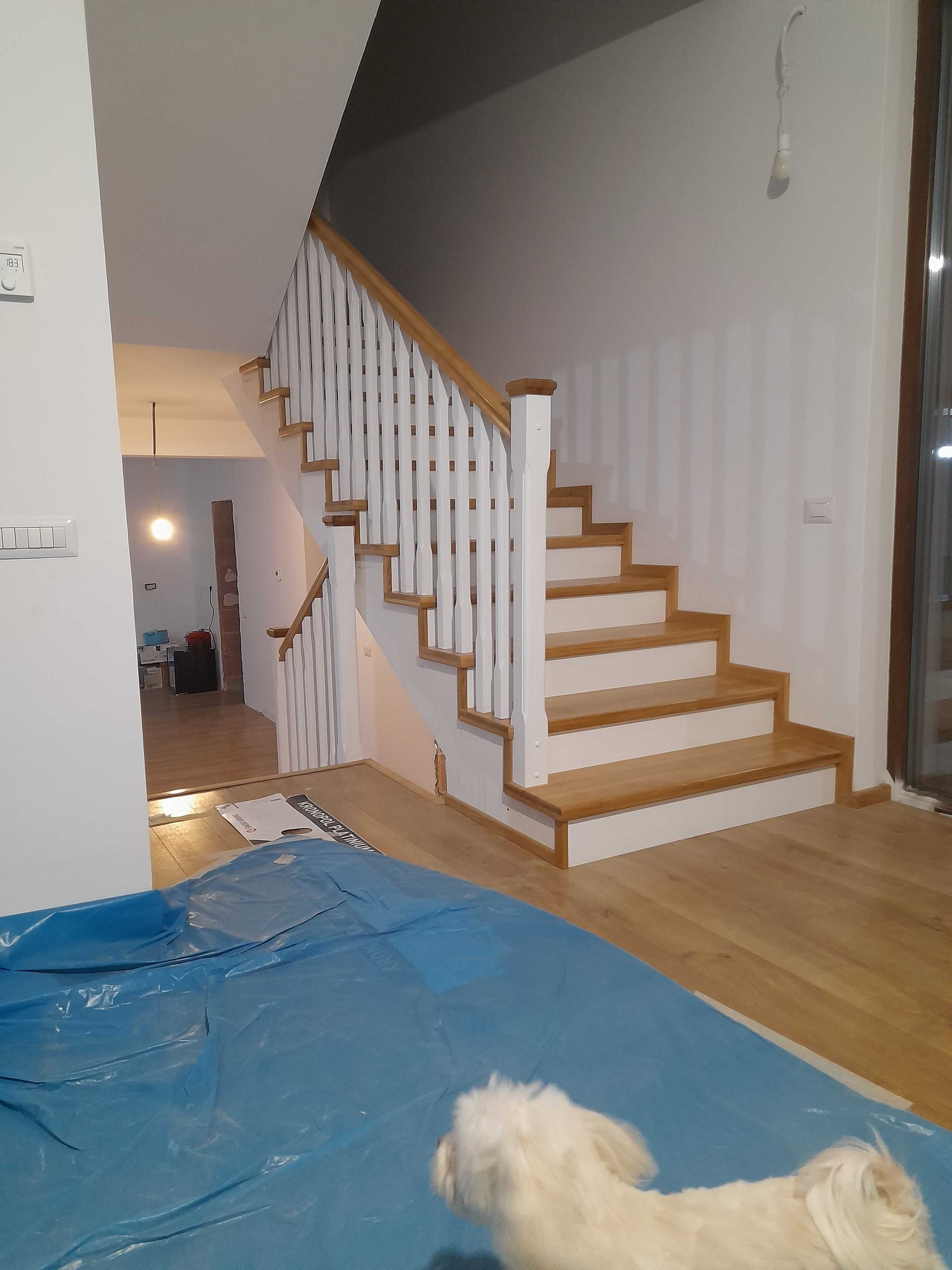 Placari scari cu stejar,fag stratificat,parchet laminat