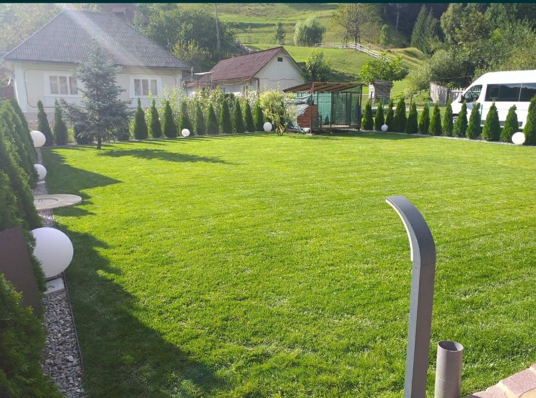 Piatra de munte grătare cascade gazon