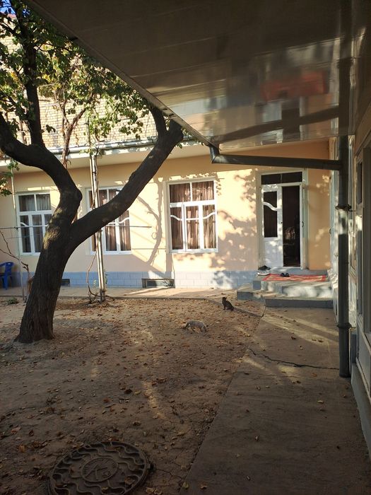 Чигатой Октепада 4 сотих уй сотилади   160.000 $ Карима масжиди якинид