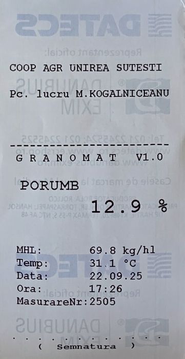 Porumb boabe recoltă 2025