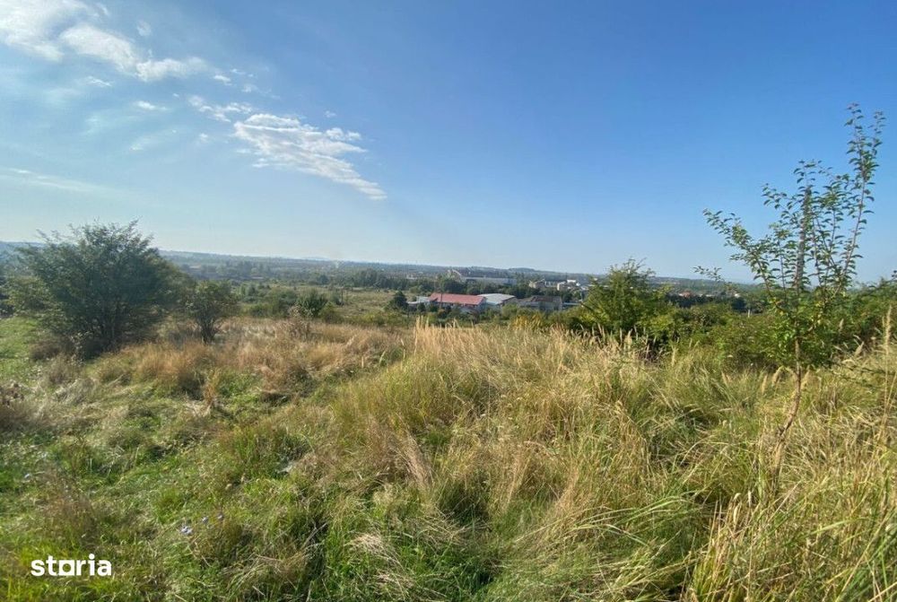 Vanzare - 2 loturi mari de teren intravilan, 66,5 ari si 63,75 ari, ut