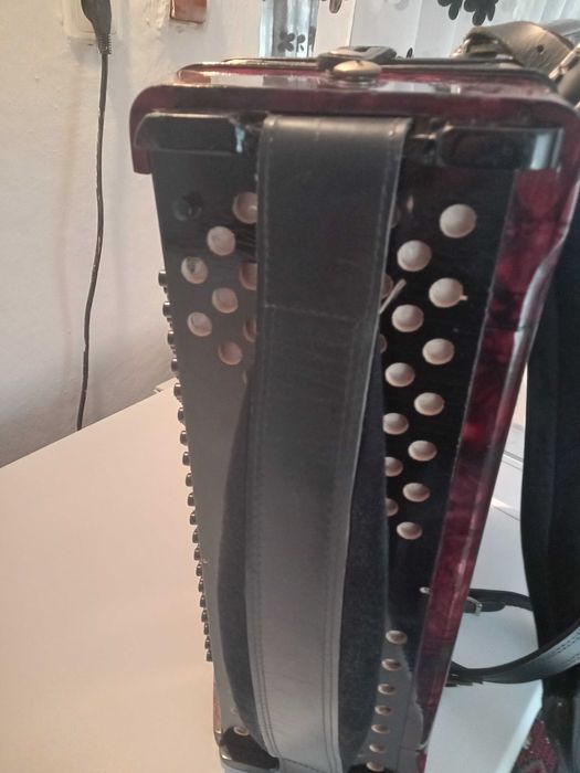 acordeon hohner 120 basi