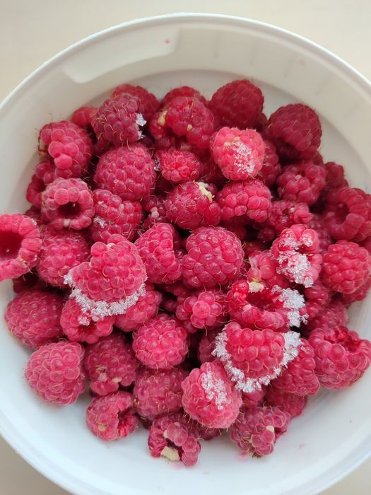 Малина замороженная