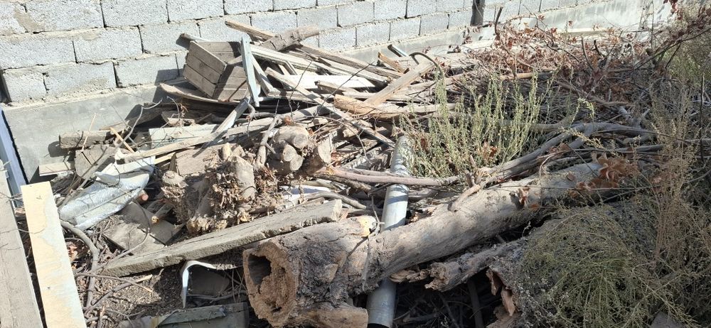 Қишга чуғдай ёнадиган утин боп