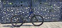 Mtb Rockrider Explore 540 29"