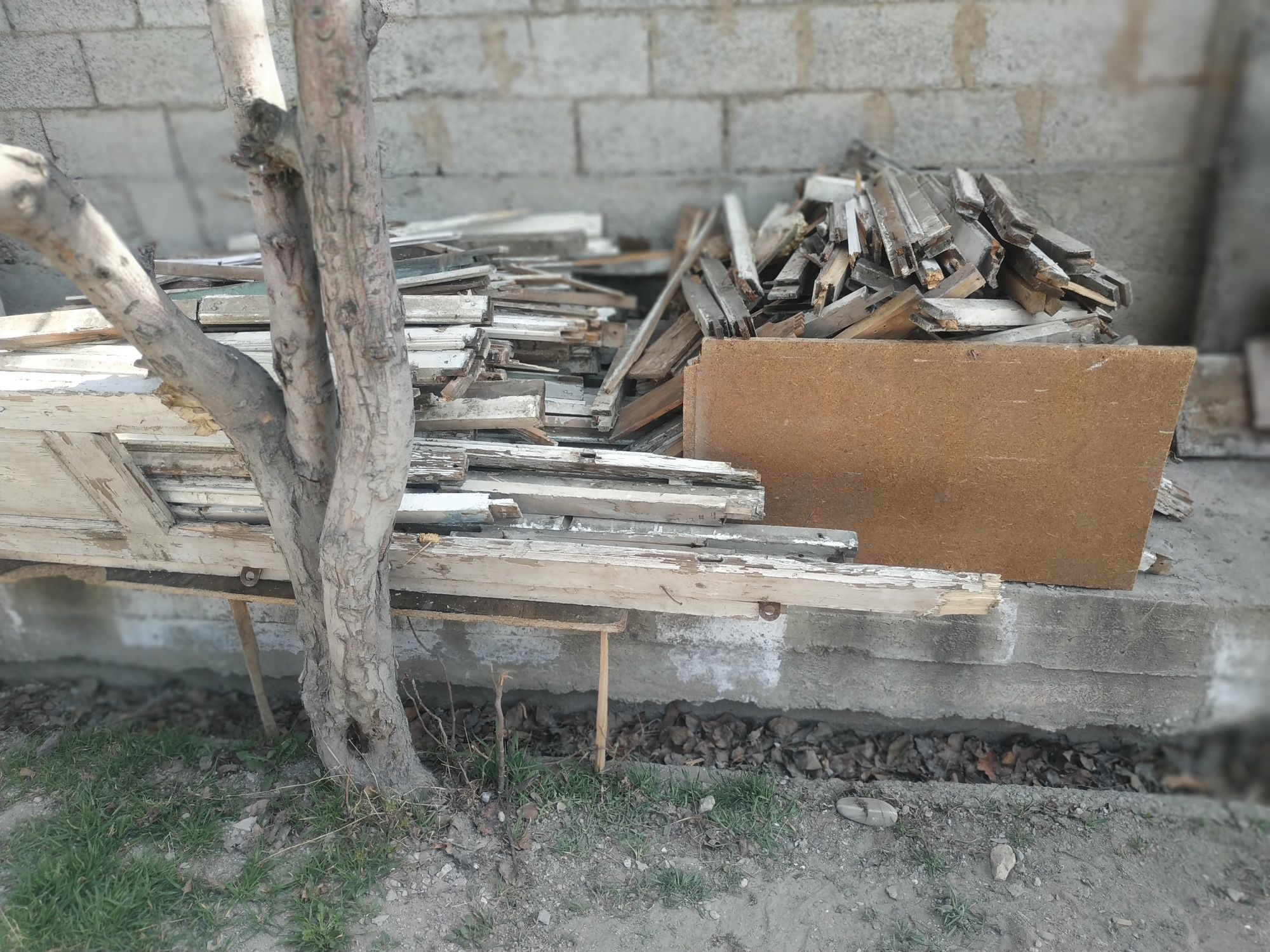 Najmd Kubro kochasi