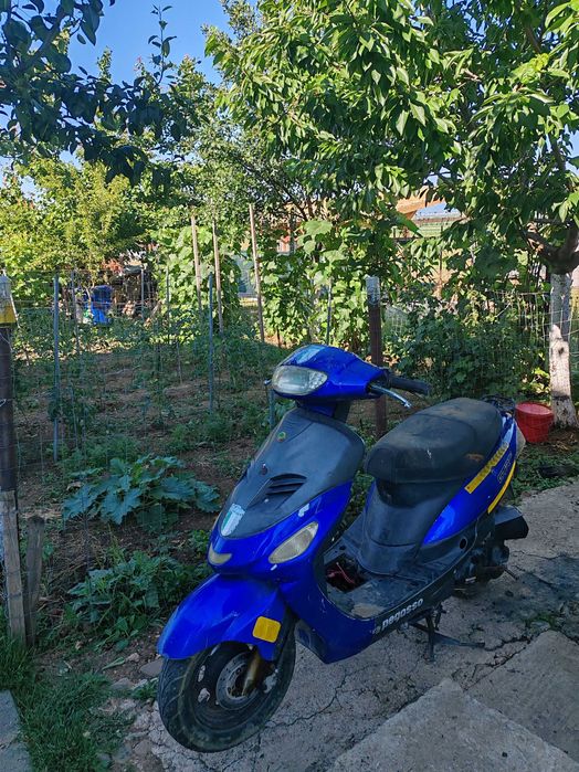 Scuter 50cc pegasso