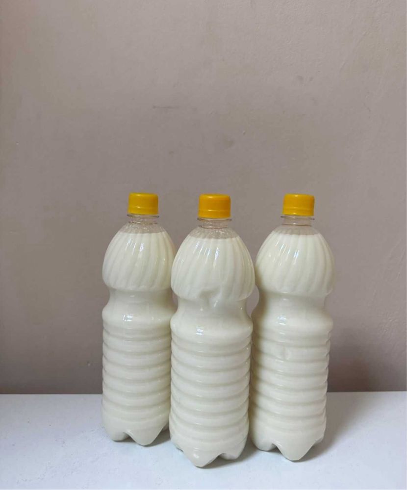 Кумыс, қымыз продам