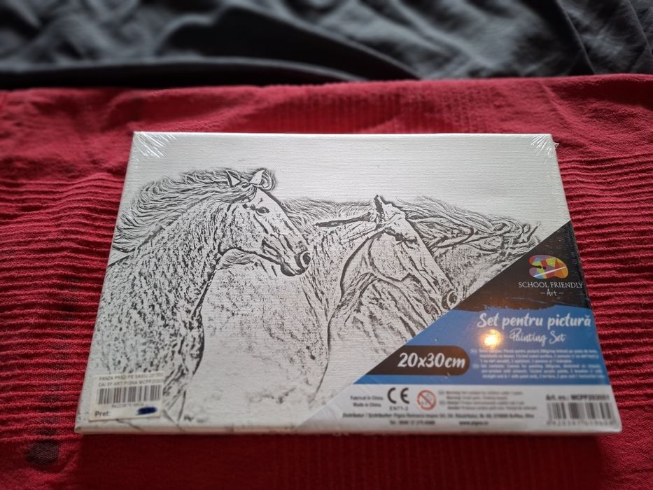 Canvas Art Kit – Pânză cu șasiu