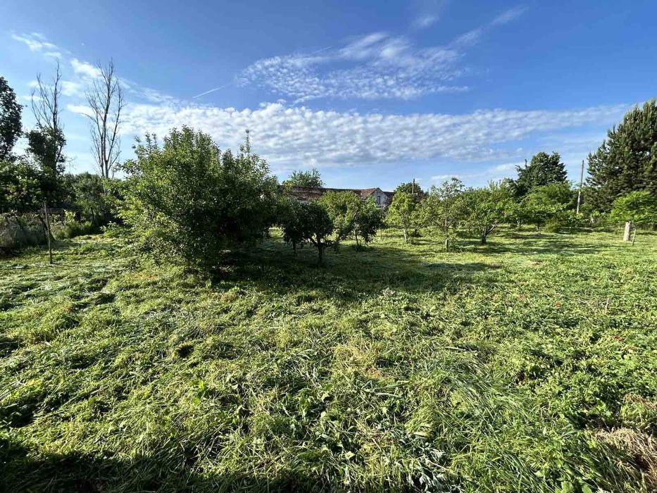 Косене и поддръжка на дворове