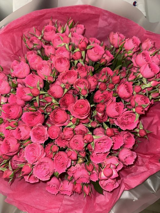 цветы, кустовые розы, только что полученные