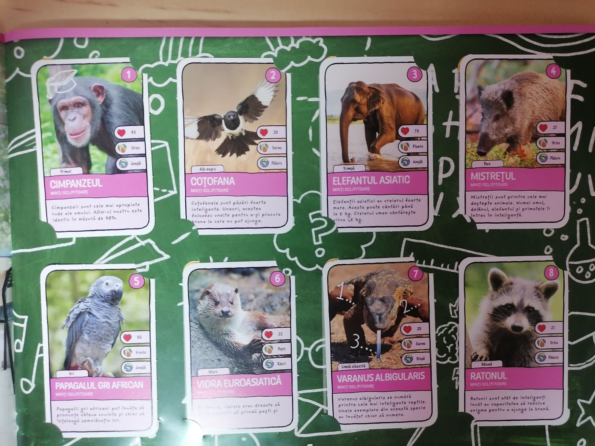 Expeditie in jurul lumii 2 - Album complet cu 96 cartonase + Boxa zoo