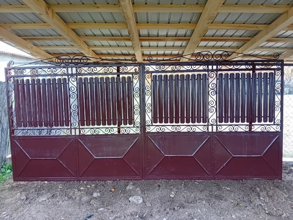 Portii auto și poarta pietonala