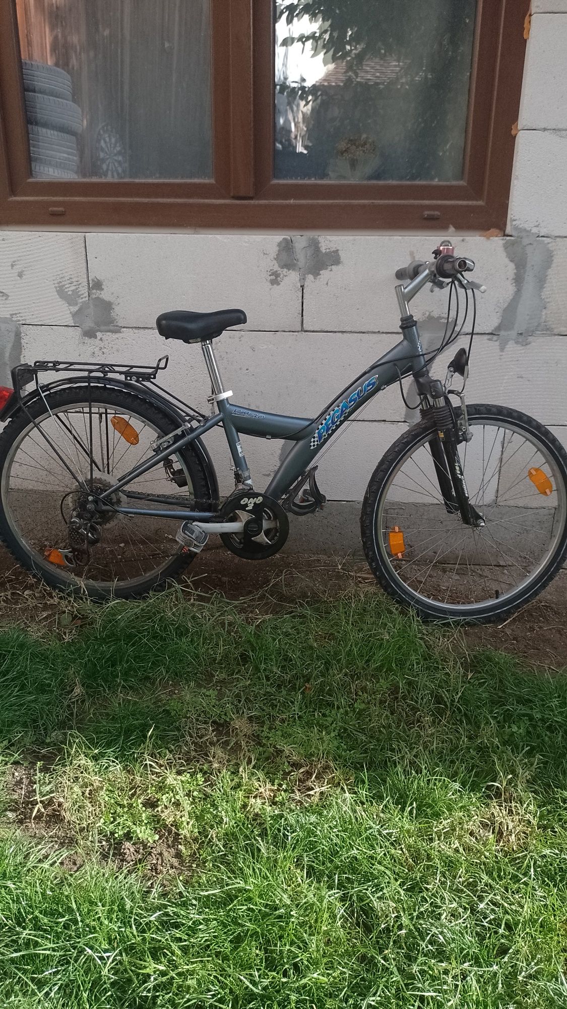 Bicicleta Pegasus km40