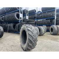 Cauciucuri 480/70r30 Michelin - AGCO, Claas