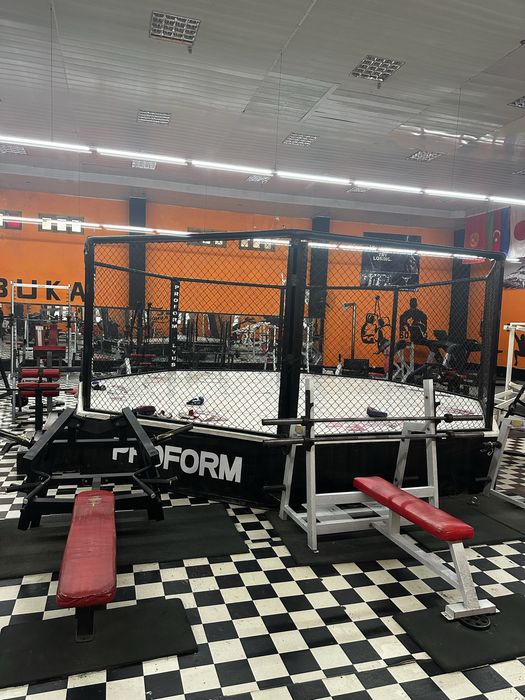 ММА/актагон/клетка