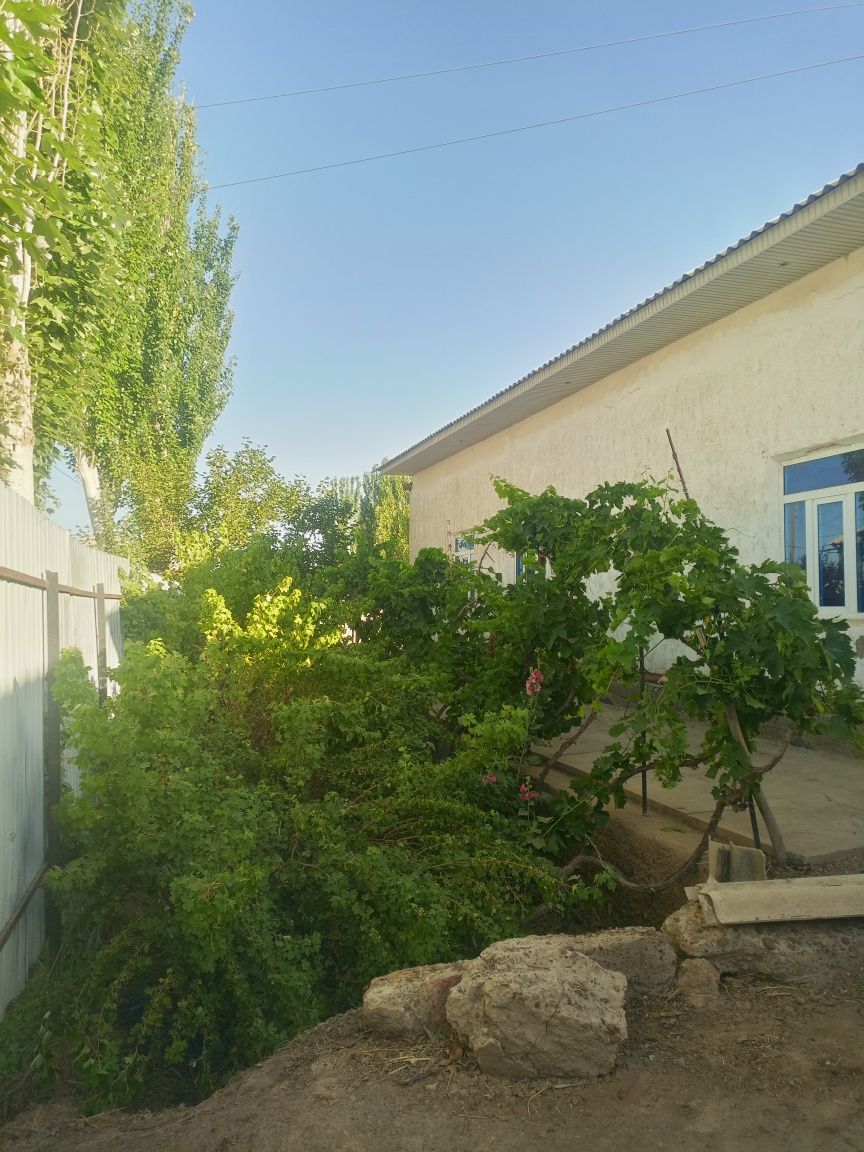 Продается участок в джондоре