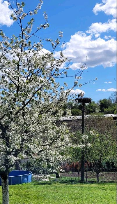 Продавам къща село Николово