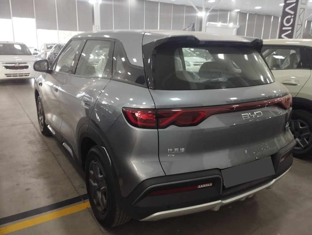 BYD Smart Yuan Up 2025