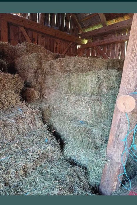 Vând baloți de lucernă și fân