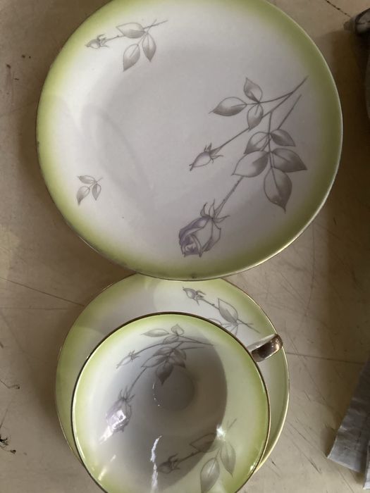 Cesti de cafea set, modele  diferite