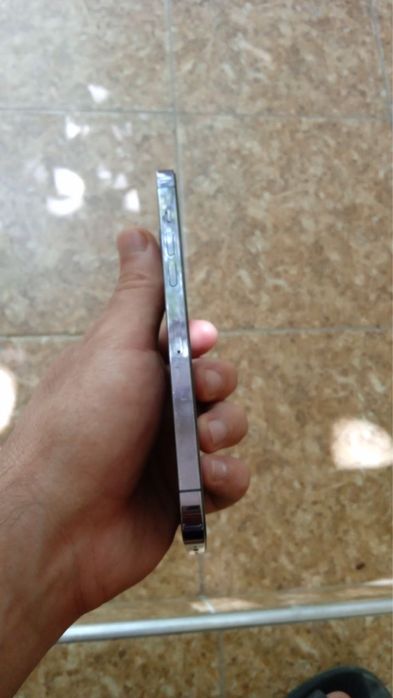 14 pro max purple