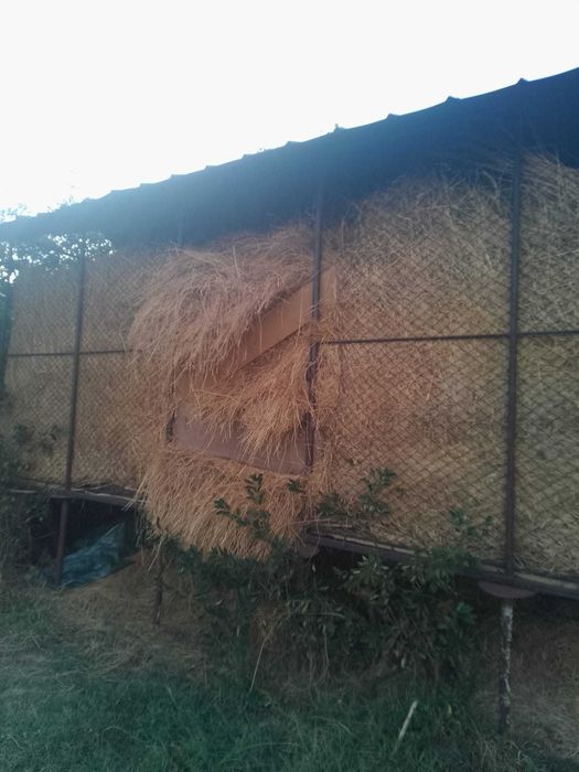 Vând fan pentru animale