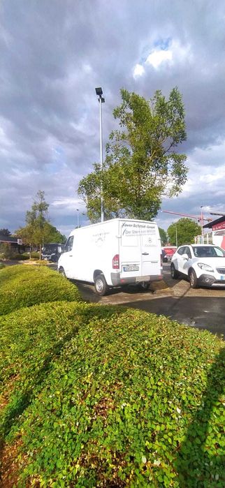 Mercedes Sprinter inscris Ro