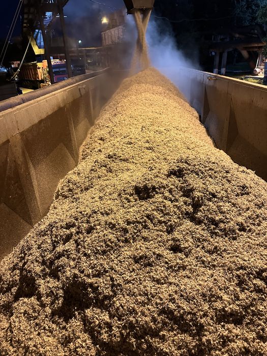 Borhot din sfecla de zahar recolta 2025