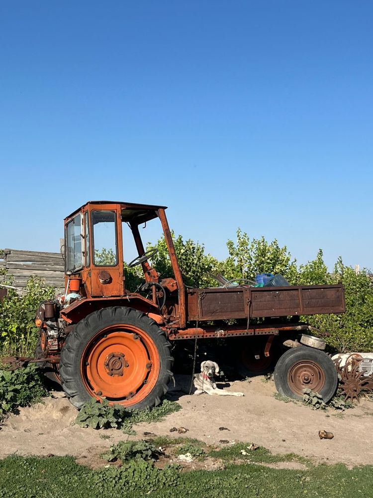 Продам трактор т-16