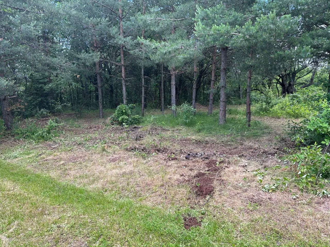 Продава се Парцел в София, Младост 3 - 920 кв.м за 44 €/кв.м - Снимка #4