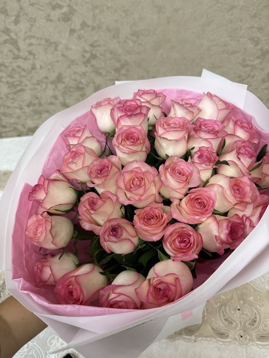 33 шт голландские розы