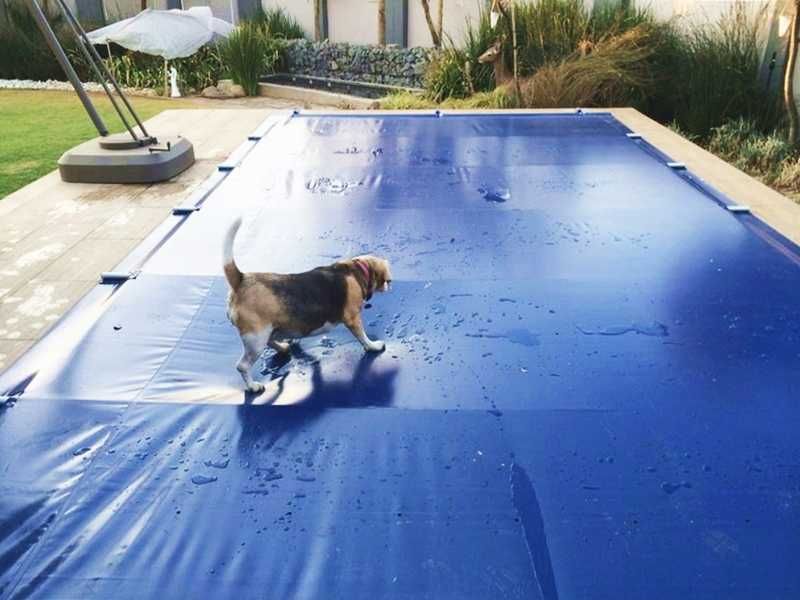 Prelate pentru piscina, calitate Premium /  orice forma si dimensiune.