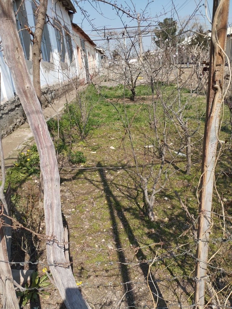 16 yil kafolati bor