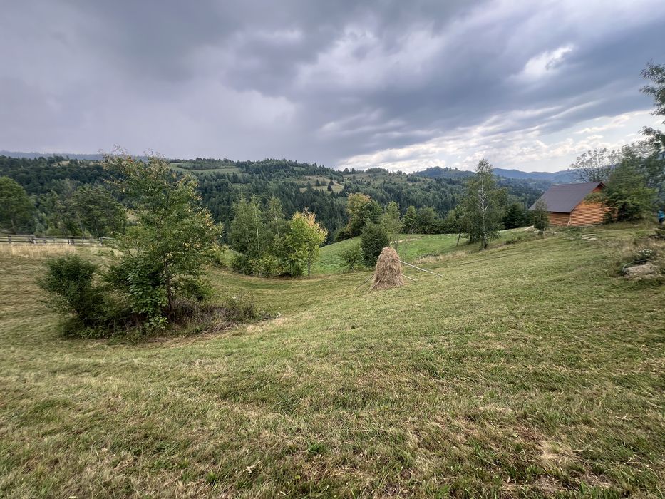 Vând teren în satul Baba, comuna Horea