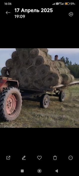 Продам сено тюк 20 кг круглыи продам Акколь пас аидарлы красный ганяк