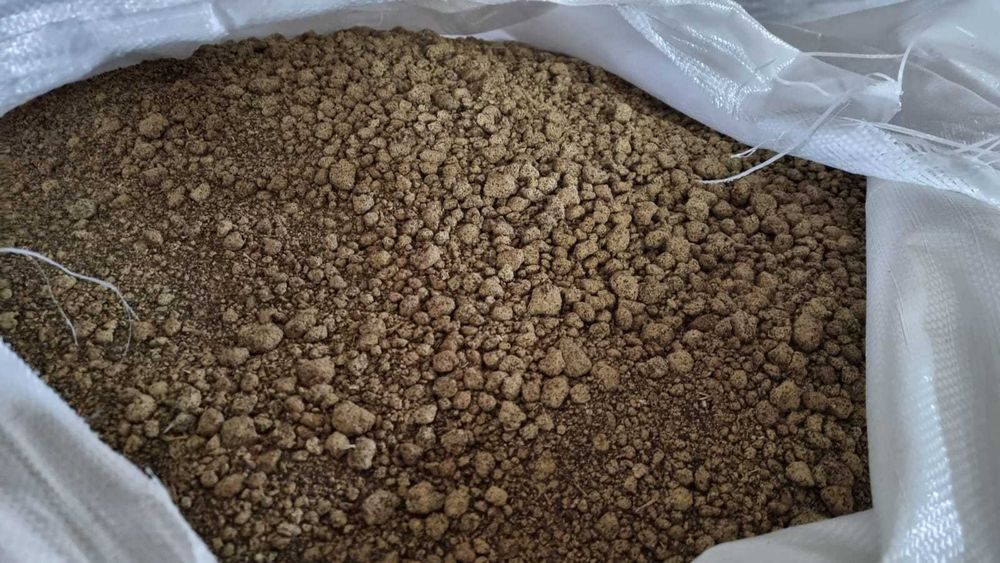 SROT RAPITA- proteina 37% la nivel de camion 23 TO