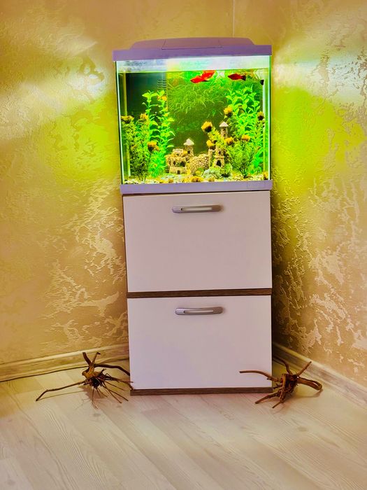 Аквариум 60 литра + шкафчето и рибките