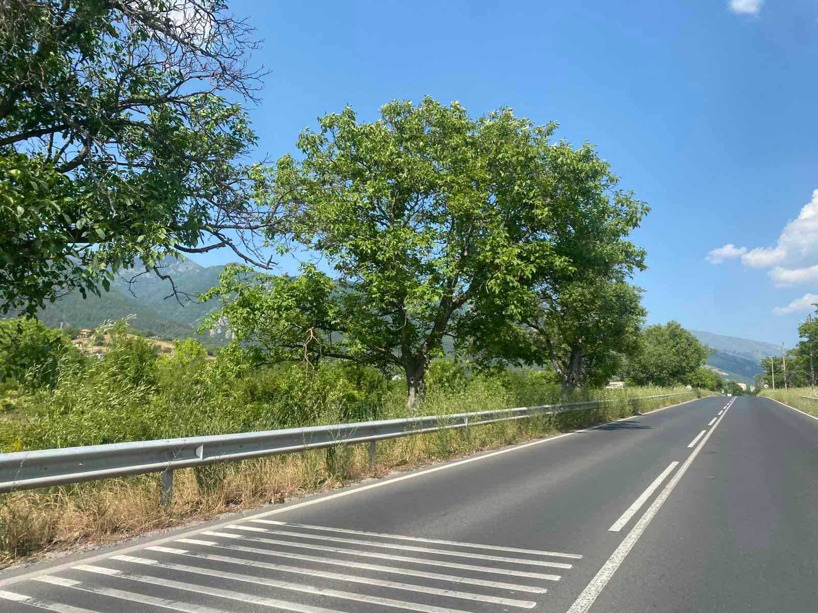 ПАРЦЕЛ 5,6 дка, сменен статут, главен път Сопот - Анево