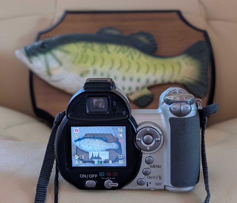 Ricoh RDC si DiMage Z5 de top, 170 LEI , stare buna