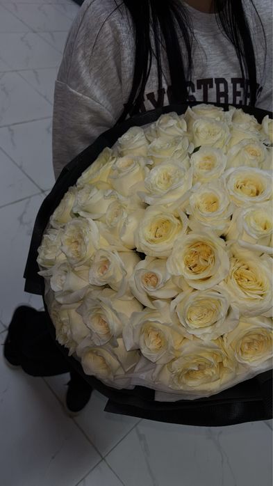 41 роза,пришли вчера свежие