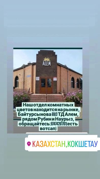 Комнатные цветы!!!