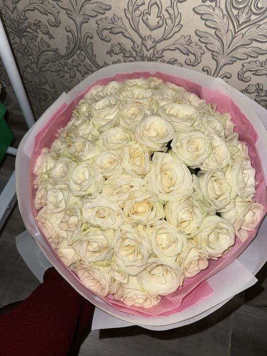 СРОЧНО продам белые розы 51 штук