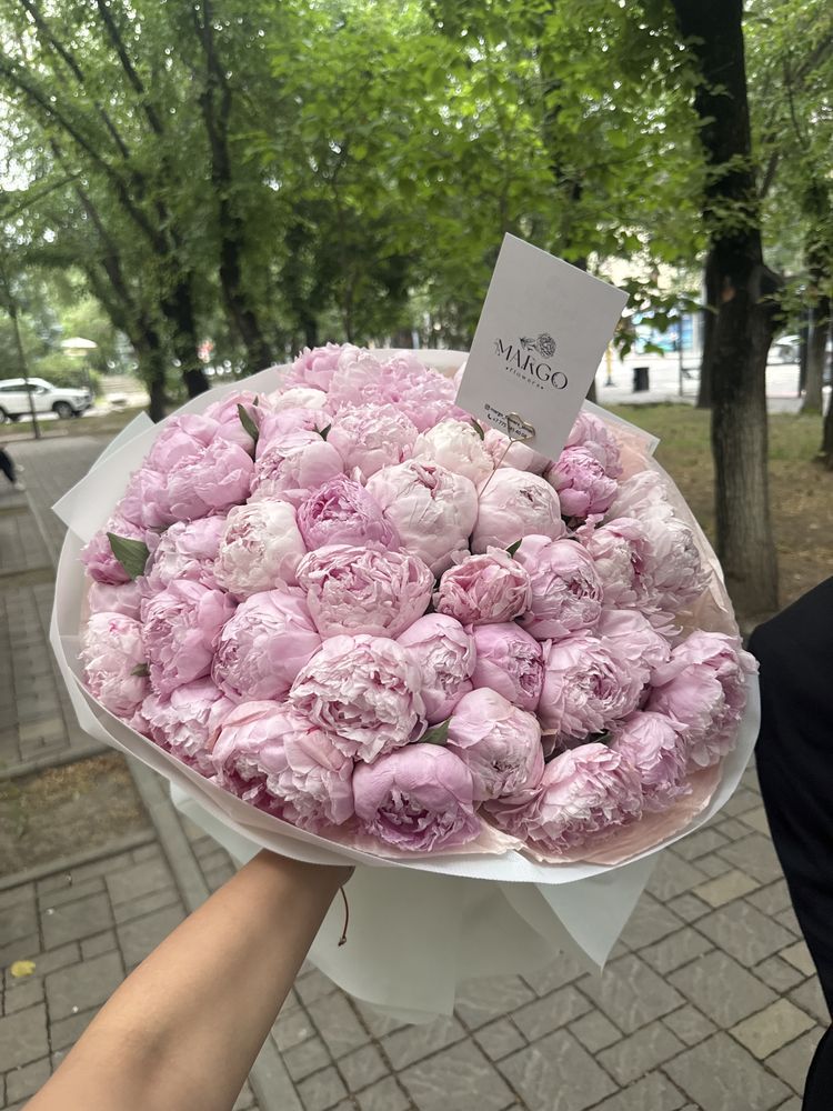 Цветы пионы (51 штук)