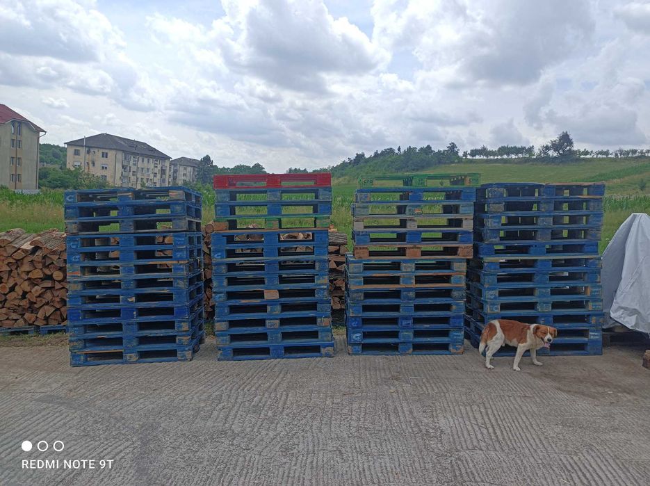 Paleti EURO si NO EURO