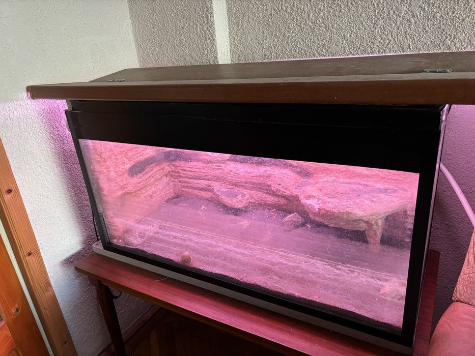 Acvariu pentru pesti