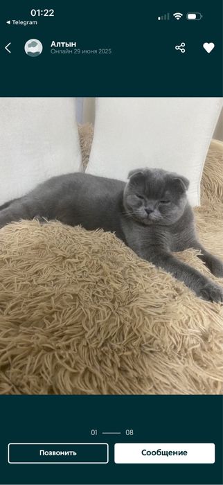 Готовятся к продаже