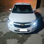 Cobalt 4 pazitsa